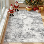 DMOYEST 4x6 Area Rug - Image 2