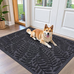 OLANLY Door Mat Indoor Outdoor Entrance, Waterproof All-Weather All-Season by OLANLY