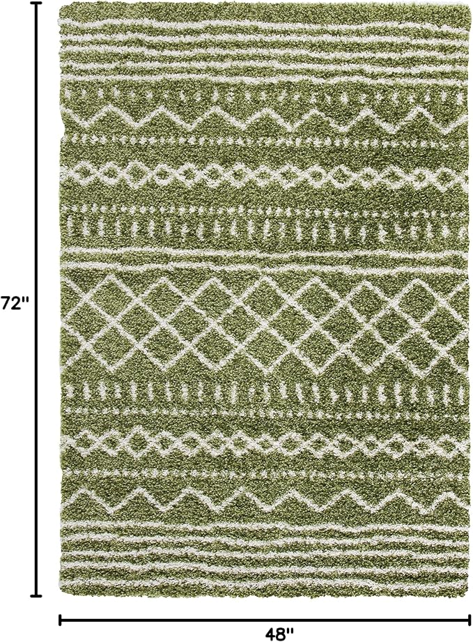 SAFAVIEH Area Rug 4x6 - Image 2