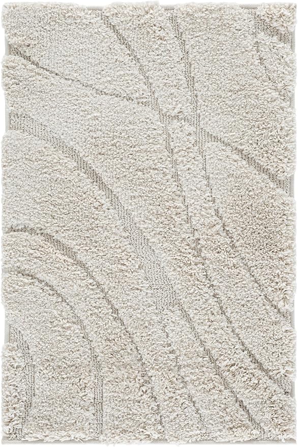 SAFAVIEH Florida Shag Collection Accent Rug - Image 2