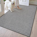 DEXI Ultra Thin Door Mat Indoor Entrance 32x48, Non Slip Rubber Backed Entryway by DEXI