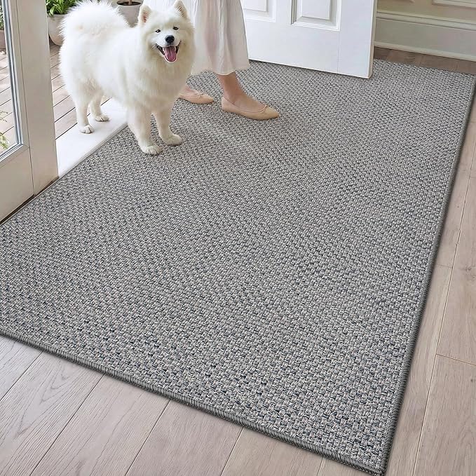 DEXI Ultra Thin Door Mat Indoor Entrance 32x48, Non Slip Rubber Backed Entryway by DEXI