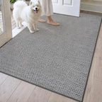 DEXI Ultra Thin Door Mat Indoor Entrance 48x72, Non Slip Rubber Backed Entryway by DEXI