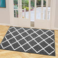 Finchitty Indoor Door Mat, Dirt Resistant and Absorbent, Low-Profile, Washable by Finchitty