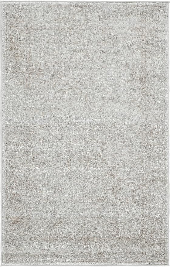 SAFAVIEH Area Rug 4x6 - Image 2