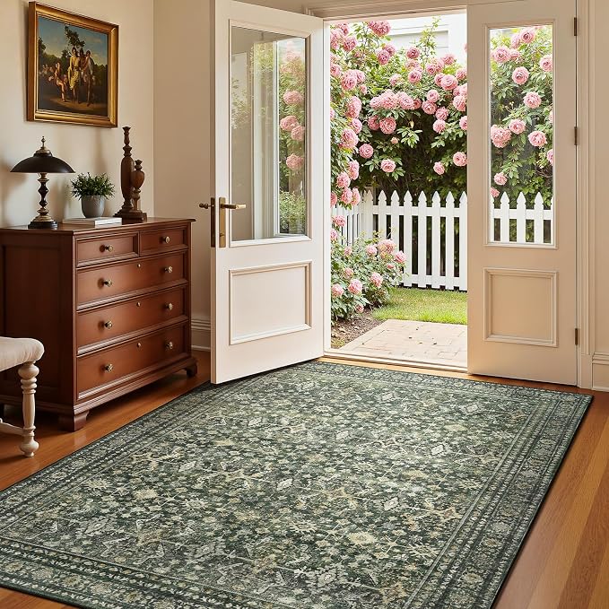 Lofus 3x5 Area Rug for Entryway, Washablee Soft Rugs for Bedroom, Living Room by Lofus