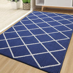 Finchitty Large Indoor Door Mat, Non-Slip Absorbent Resist Dirt Entrance Mat - Image 6