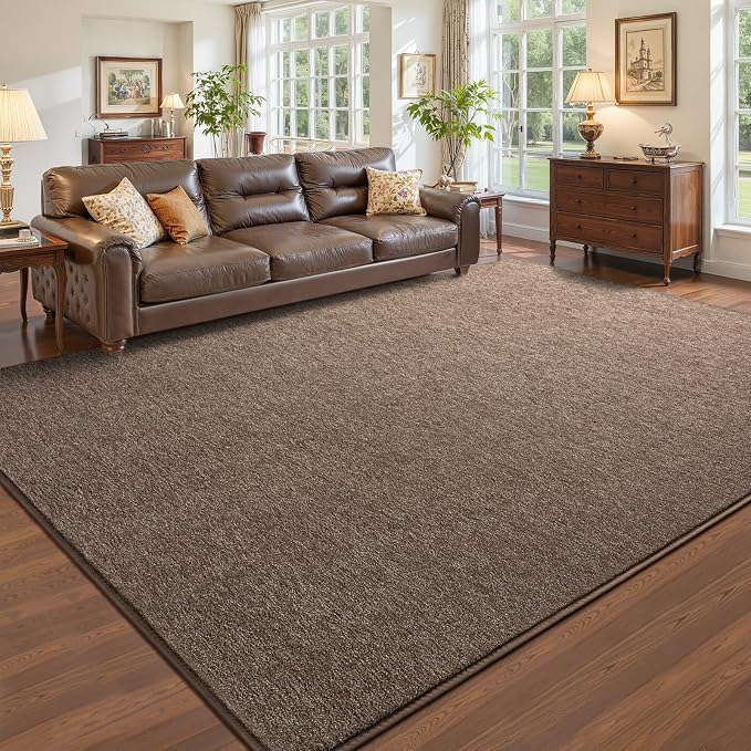Pettop 5x7 Brown Area Rugs for Living Room Bedroom, Thickened Memory-Foam Throw by Pettop