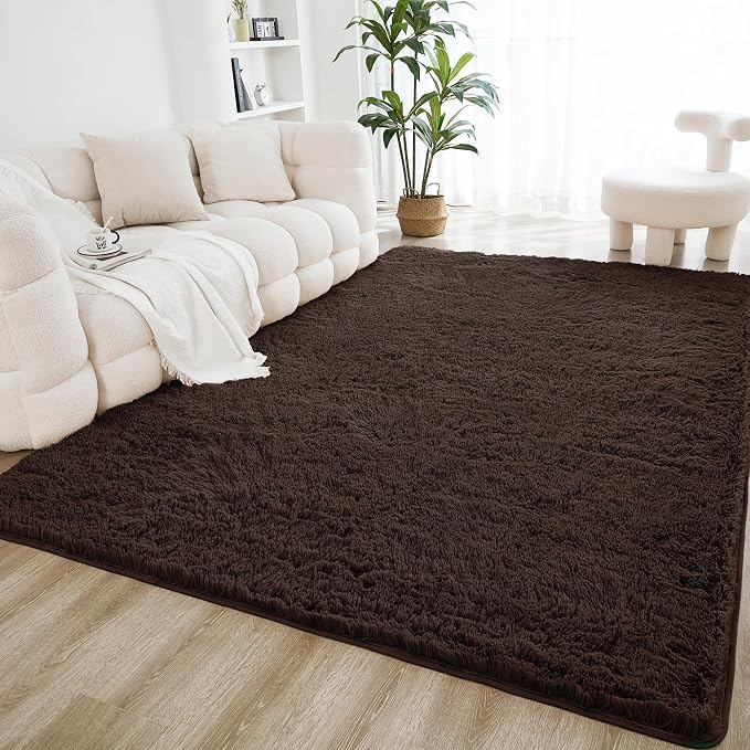 Litanika 4x6 Shag Area Rug for Living Room Bedroom, Non-Shedding Modern Indoor by Litanika