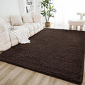 Litanika 3x5 Shag Area Rug for Living Room Bedroom, Non-Shedding Modern Indoor by Litanika