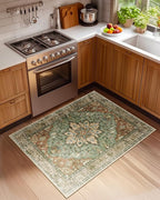 RELEANY Area Rugs 3'x4' Washable Non-Slip, Floral Vintage Distress Medallion - Image 2