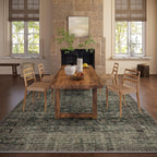 Washable Living Room Area Rug: 10x14 Rugs - Image 5