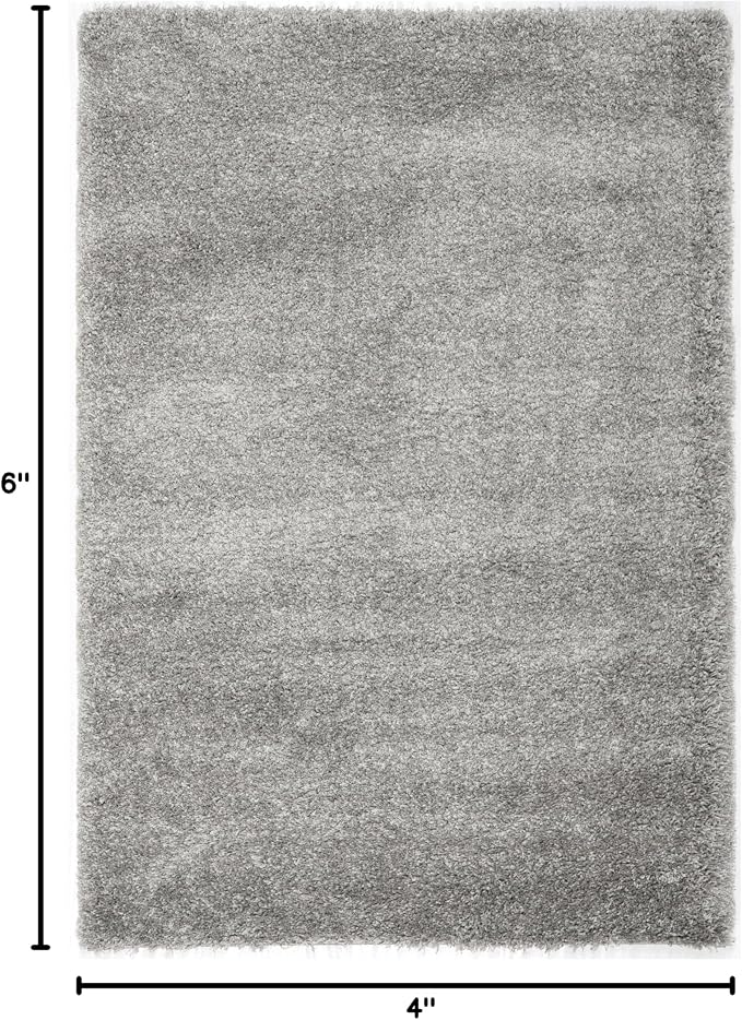 SAFAVIEH Area Rug 4x6 - Image 3