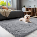 OLANLY 4x5 Machine Washable Accent Rug, Soft Fluffy Shaggy Area Rug by OLANLY