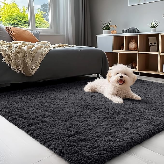 OLANLY 4x5 Machine Washable Accent Rug, Soft Fluffy Shaggy Area Rug by OLANLY