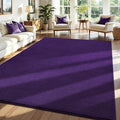 ISEAU 6x9 Rug for Living Room, Soft Memory Foam Carpet by ISEAU