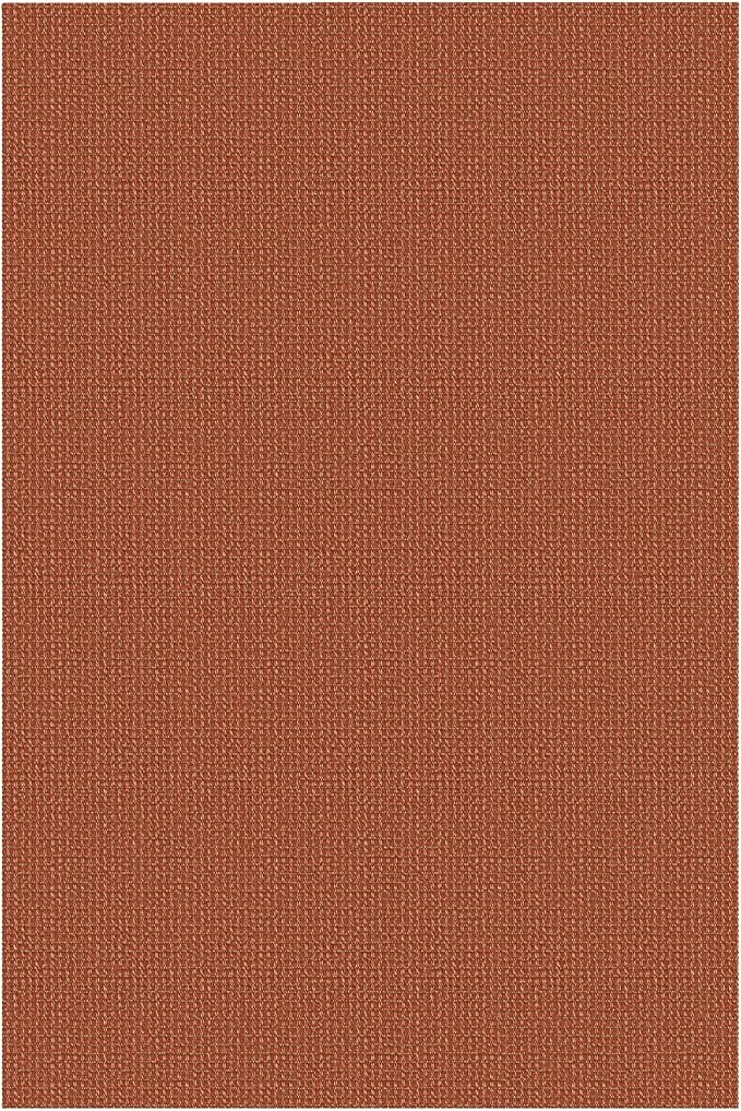 IOHOUZE Washable Area Rug 4x6 Non Slip Rubber Backed Woven Rugs - Image 9