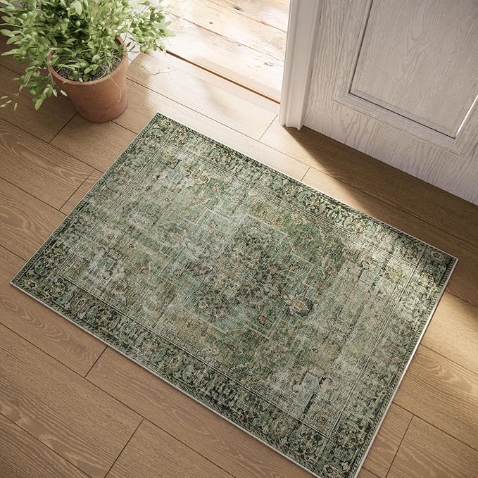 Machine Washable Throw Rugs for Entryway: Door Mat Indoor Entrance 2x3 Small by palohom