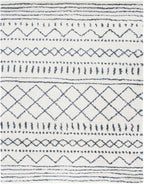 SAFAVIEH Area Rug 10x14 - Image 2