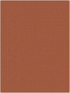 KOZYFLY Washable 3x4 Woven Entry Area Rug, Braided Throw Rugs - Image 9
