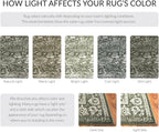 SAFAVIEH Adirondack Collection Area Rug - Image 5