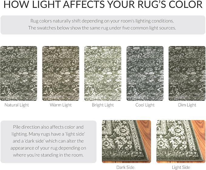 SAFAVIEH Adirondack Collection Area Rug - Image 5