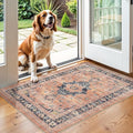 Washable 2x3 Small Area Rug: Vintage Indoor Soft Non Slip Door Mat Stain by HYHAOYUNLAI