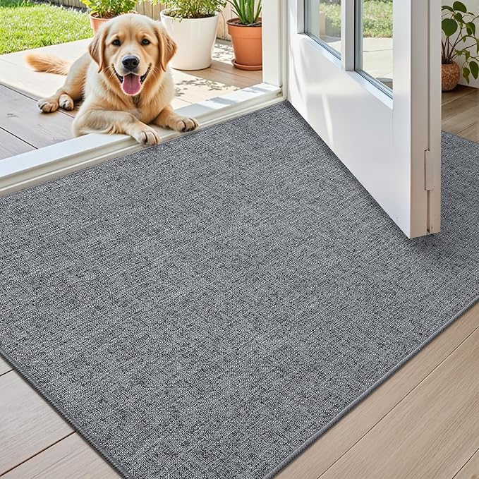 Color&Geometry Ultra Thin Indoor Door Mat 36"x56", Non Slip Rubber Backed Dirt by COLORG