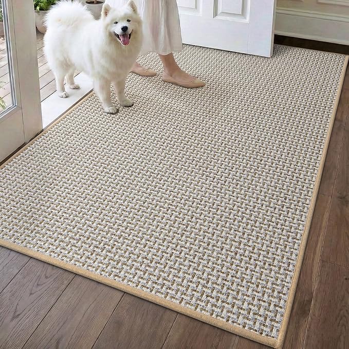 DEXI Ultra Thin Door Mat Indoor Entrance 36x56, Non Slip Rubber Backed Entryway by DEXI
