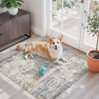 3x3 Square Entryway Rug Washable – Non-Slip Small Area Rug by ZHXXUJ