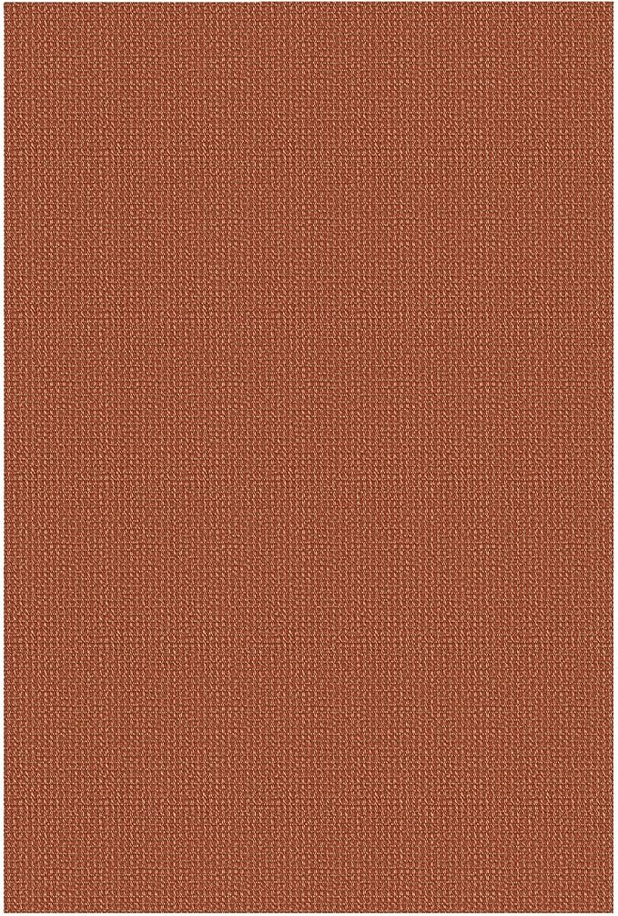 IOHOUZE Washable Area Rug 5x7 Non Slip Rubber Backed Rugs - Image 9