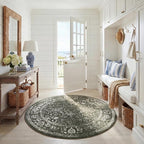 SAFAVIEH Adirondack Collection Area Rug by Unknown