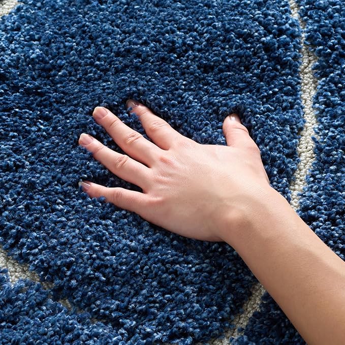 SAFAVIEH Florida Shag Collection Area Rug by Unknown