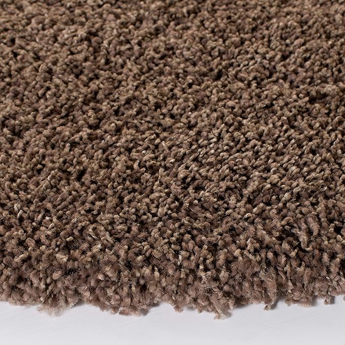 SAFAVIEH Area Rug 11x15 - Image 6