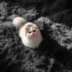 PAGISOFE Black Fluffy Shag Area Rugs - Image 7