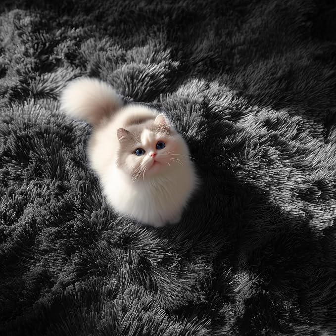 PAGISOFE Black Fluffy Shag Area Rugs - Image 7