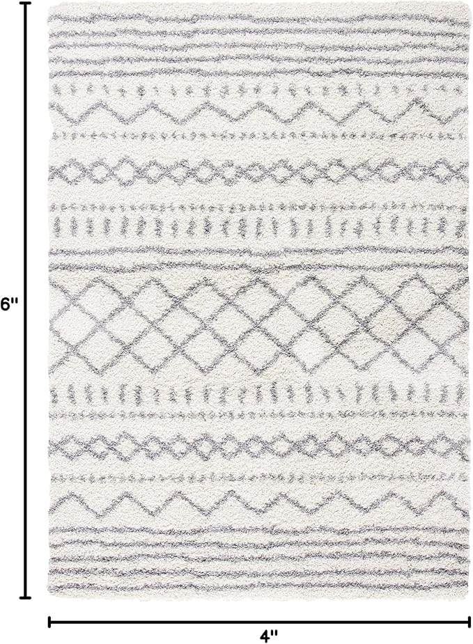 SAFAVIEH Area Rug 4x6 - Image 2