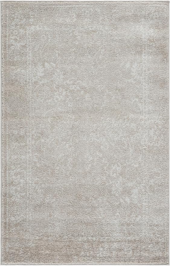 SAFAVIEH Area Rug 4x6 - Image 2