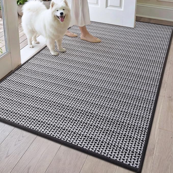 DEXI Ultra Thin Door Mat Indoor Entrance 32x48, Non Slip Rubber Backed Entryway by DEXI