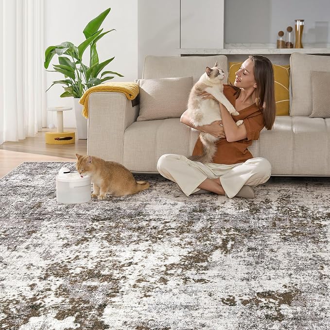 DMOYEST 6x9 Area Rug - Image 5