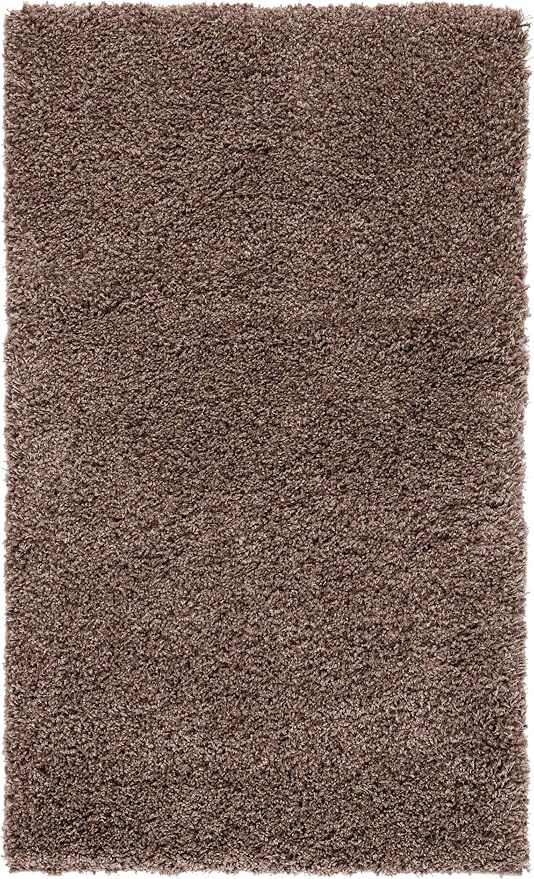 SAFAVIEH Area Rug 3x5 - Image 2