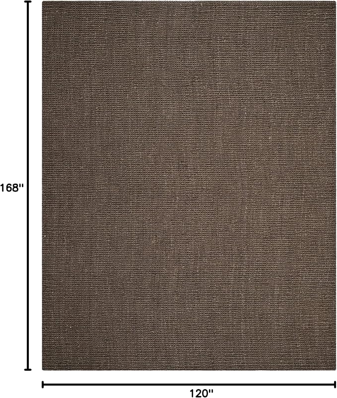 SAFAVIEH Area Rug 10x14 - Image 2