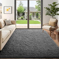 Ophanie 5x7 Area Rugs for Living Room Grey, Fluffy Shag Large Fuzzy Plush Soft by Ophanie