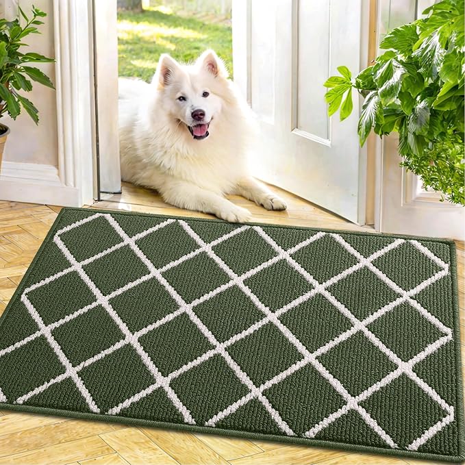 Finchitty Indoor Door Mat, Dirt Resistant and Absorbent, Low-Profile, Washable by Finchitty