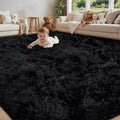 8x10 Area Rug for Living Room:Ultra Soft Fluffy Shag Black Rugs, Large Fuzzy by Unknown