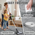 5x7 Area Rug for Living Room:Ultra Soft Fluffy Shag Light Grey Rugs, Large - Image 6