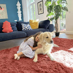 OLANLY Area Rugs for Living Room Bedroom, Machine Washable 4x5.9 ft Soft Fluffy - Image 5