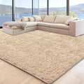 5x7 Beige Area Rugs for Living Room, Fluffy Shag Rug for Bedroom Boys Kids by Unknown