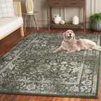 SAFAVIEH Area Rug 4x6 - Image 6