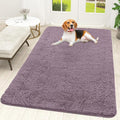 OLANLY Dog Door Mat for Muddy Paws 70x46, Absorbs Moisture and Dirt, Absorbent by OLANLY